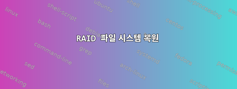 RAID 파일 시스템 복원