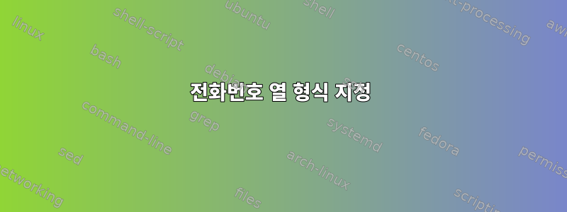 전화번호 열 형식 지정