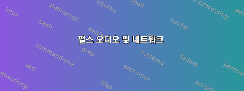 펄스 오디오 및 네트워크