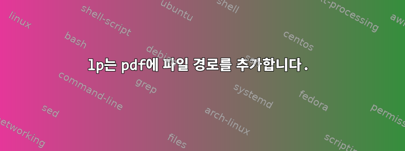 lp는 pdf에 파일 경로를 추가합니다.