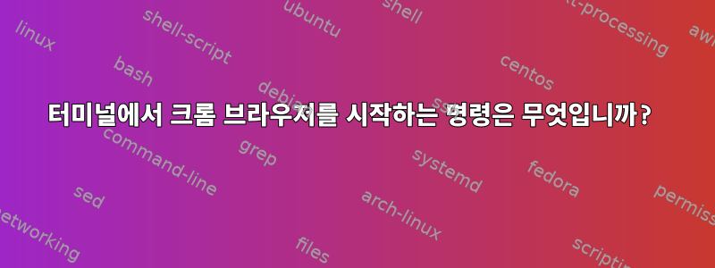 터미널에서 크롬 브라우저를 시작하는 명령은 무엇입니까?