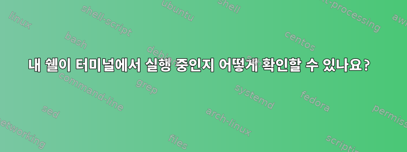 내 쉘이 터미널에서 실행 중인지 어떻게 확인할 수 있나요?