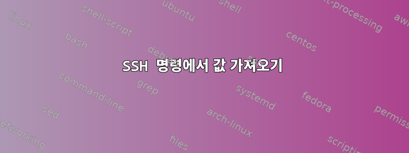 SSH 명령에서 값 가져오기