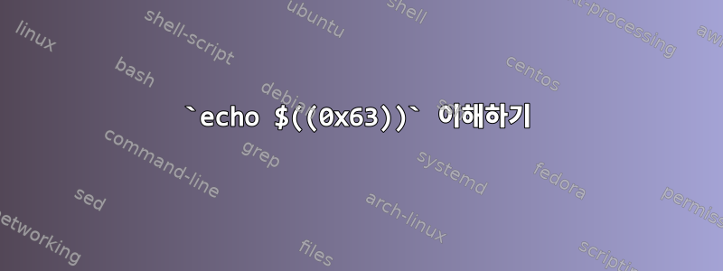 `echo $((0x63))` 이해하기