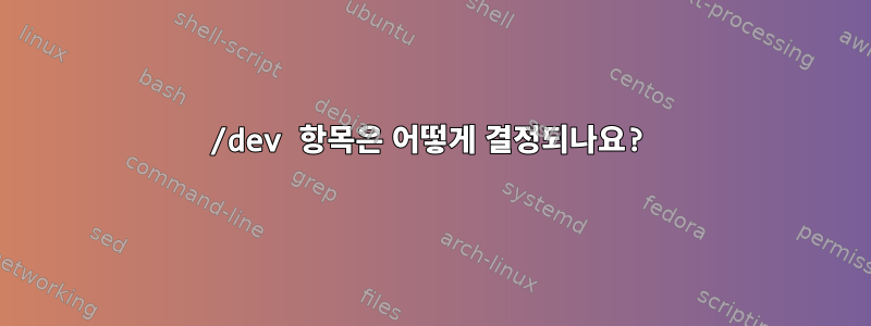 /dev 항목은 어떻게 결정되나요?