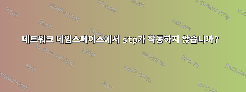 네트워크 네임스페이스에서 stp가 작동하지 않습니까?