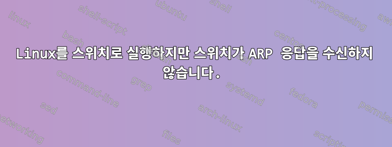 Linux를 스위치로 실행하지만 스위치가 ARP 응답을 수신하지 않습니다.