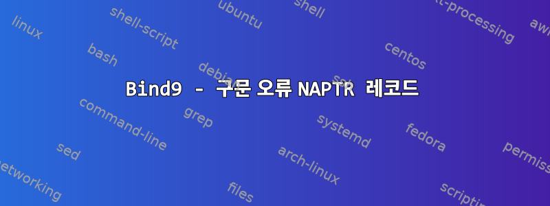 Bind9 - 구문 오류 NAPTR 레코드