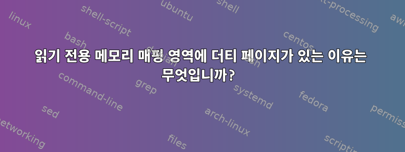 읽기 전용 메모리 매핑 영역에 더티 페이지가 있는 이유는 무엇입니까?