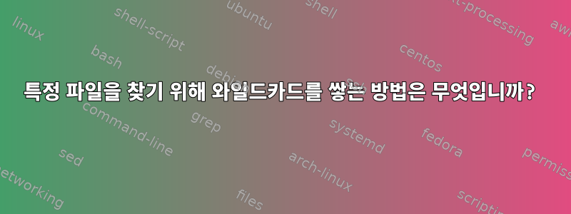 특정 파일을 찾기 위해 와일드카드를 쌓는 방법은 무엇입니까?