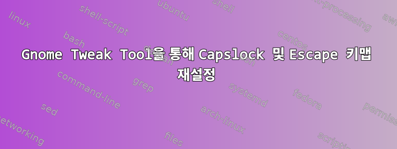 Gnome Tweak Tool을 통해 Capslock 및 Escape 키맵 재설정