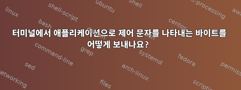 터미널에서 애플리케이션으로 제어 문자를 나타내는 바이트를 어떻게 보내나요?