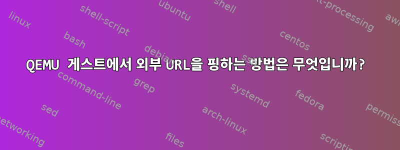 QEMU 게스트에서 외부 URL을 핑하는 방법은 무엇입니까?