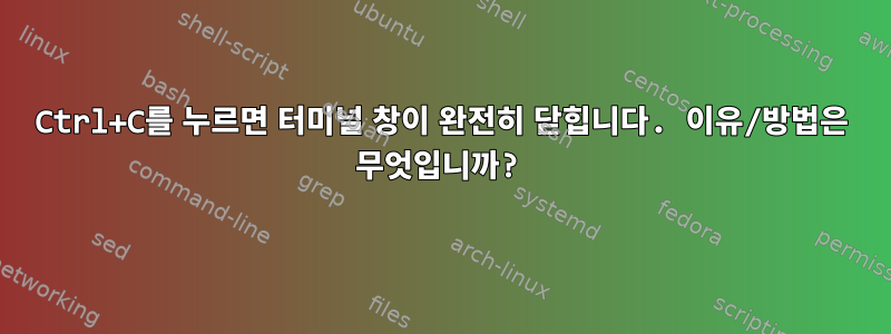 Ctrl+C를 누르면 터미널 창이 완전히 닫힙니다. 이유/방법은 무엇입니까?