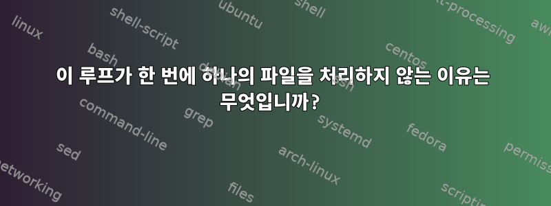 이 루프가 한 번에 하나의 파일을 처리하지 않는 이유는 무엇입니까?