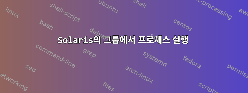 Solaris의 그룹에서 프로세스 실행