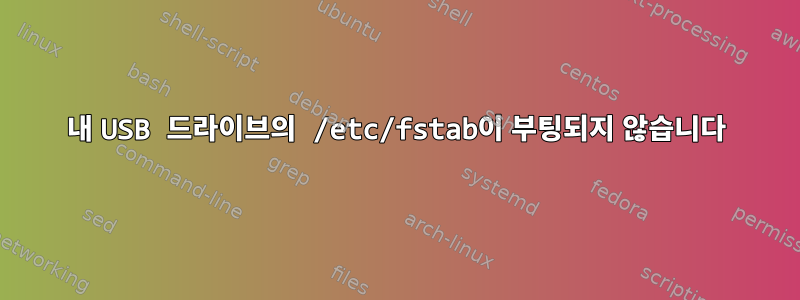 내 USB 드라이브의 /etc/fstab이 부팅되지 않습니다