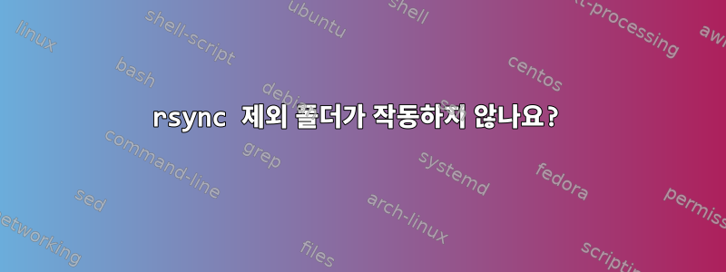 rsync 제외 폴더가 작동하지 않나요?