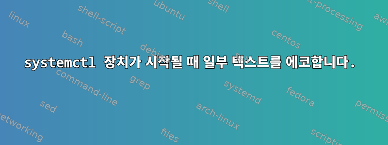 systemctl 장치가 시작될 때 일부 텍스트를 에코합니다.