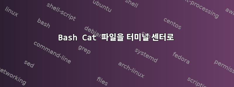 Bash Cat 파일을 터미널 센터로