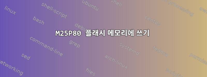 M25P80 플래시 메모리에 쓰기