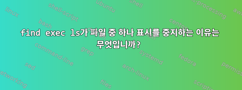 find exec ls가 파일 중 하나 표시를 중지하는 이유는 무엇입니까?