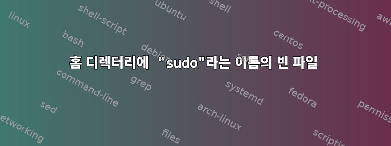 홈 디렉터리에 "sudo"라는 이름의 빈 파일