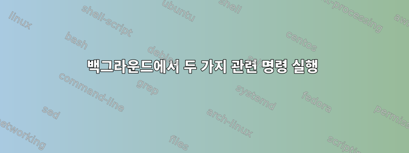 백그라운드에서 두 가지 관련 명령 실행