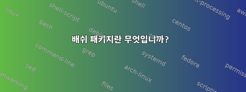 배쉬 패키지란 무엇입니까?