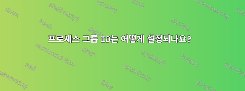 프로세스 그룹 ID는 어떻게 설정되나요?