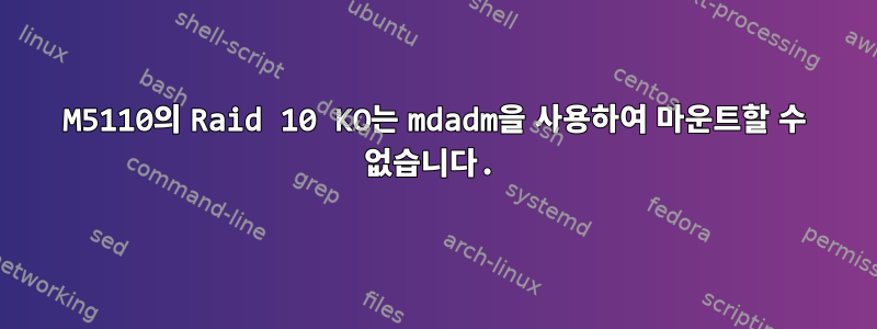 M5110의 Raid 10 KO는 mdadm을 사용하여 마운트할 수 없습니다.