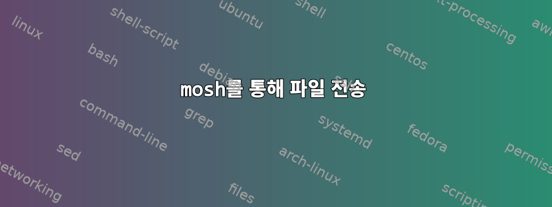 mosh를 통해 파일 전송