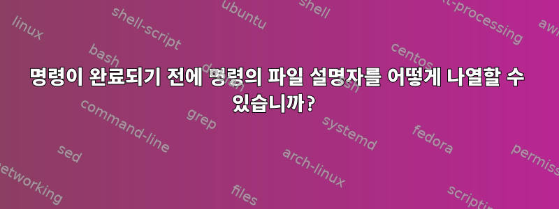 명령이 완료되기 전에 명령의 파일 설명자를 어떻게 나열할 수 있습니까?