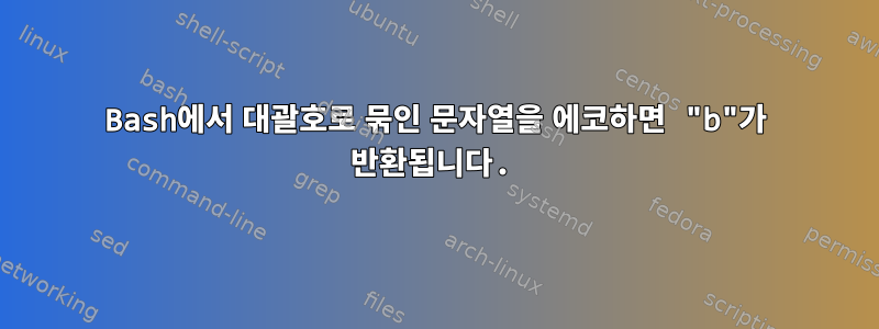 Bash에서 대괄호로 묶인 문자열을 에코하면 "b"가 반환됩니다.