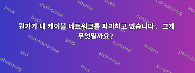 뭔가가 내 케이블 네트워크를 파괴하고 있습니다. 그게 무엇일까요?