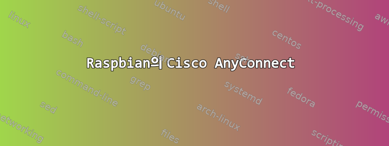 Raspbian의 Cisco AnyConnect