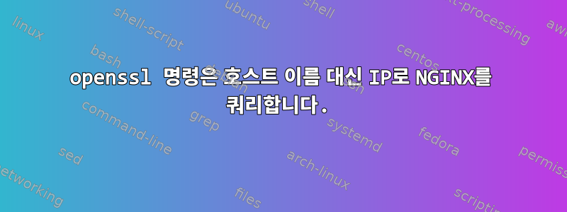 openssl 명령은 호스트 이름 대신 IP로 NGINX를 쿼리합니다.