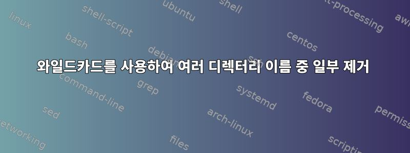 와일드카드를 사용하여 여러 디렉터리 이름 중 일부 제거