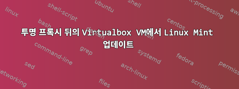 투명 프록시 뒤의 Virtualbox VM에서 Linux Mint 업데이트