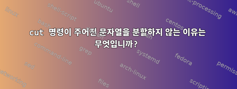 cut 명령이 주어진 문자열을 분할하지 않는 이유는 무엇입니까?