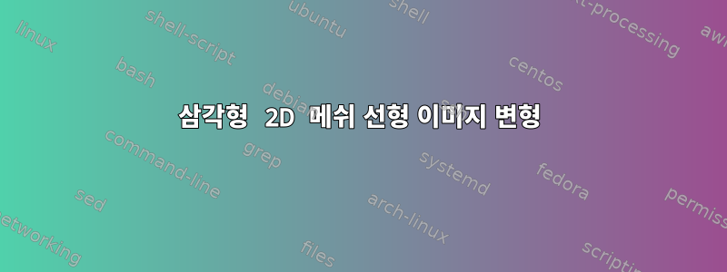 삼각형 2D 메쉬 선형 이미지 변형