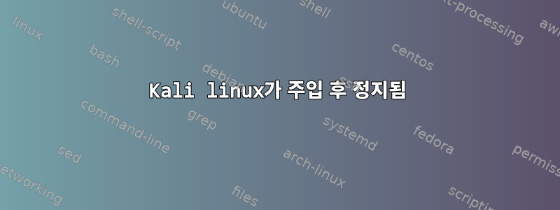 Kali linux가 주입 후 정지됨