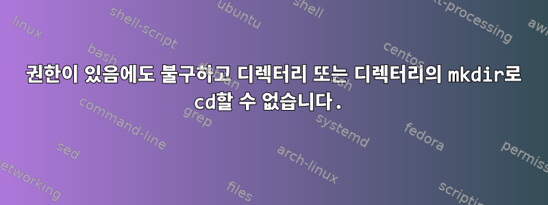 777 권한이 있음에도 불구하고 디렉터리 또는 디렉터리의 mkdir로 cd할 수 없습니다.