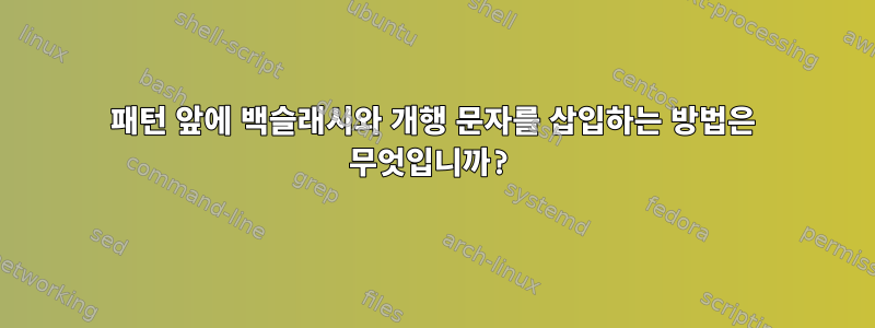 패턴 앞에 백슬래시와 개행 문자를 삽입하는 방법은 무엇입니까?