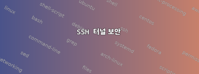 SSH 터널 보안