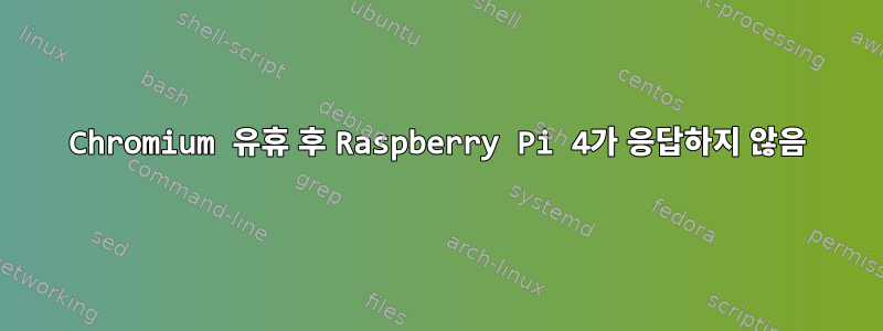 Chromium 유휴 후 Raspberry Pi 4가 응답하지 않음