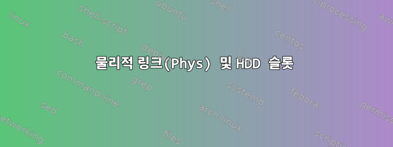 물리적 링크(Phys) 및 HDD 슬롯