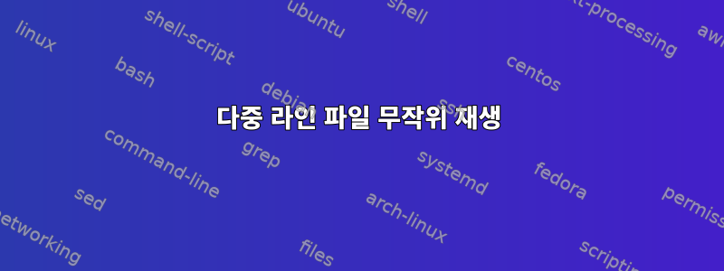 다중 라인 파일 무작위 재생