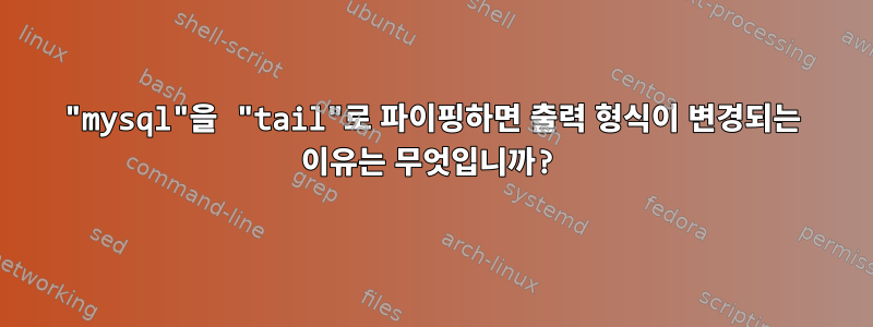 "mysql"을 "tail"로 파이핑하면 출력 형식이 변경되는 이유는 무엇입니까?