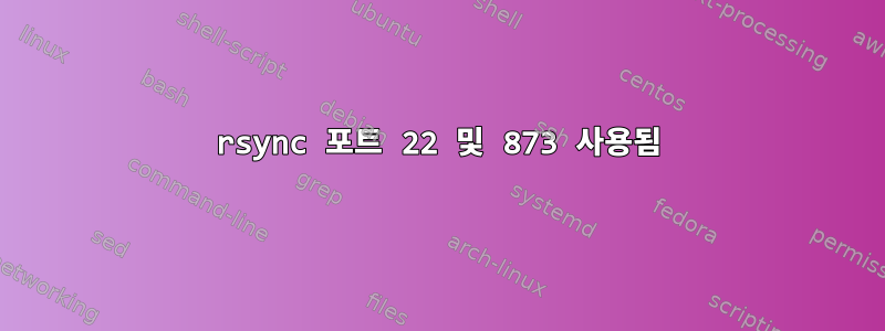 rsync 포트 22 및 873 사용됨